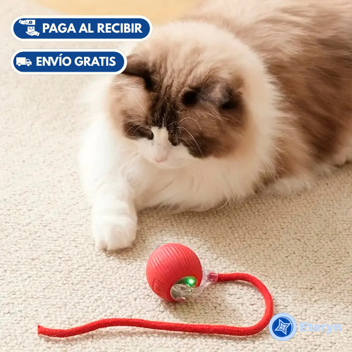 Pelota Interactiva Para Mascotas