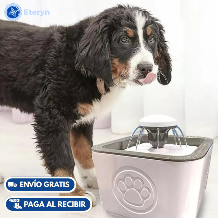 Bebedero Para Mascotas
