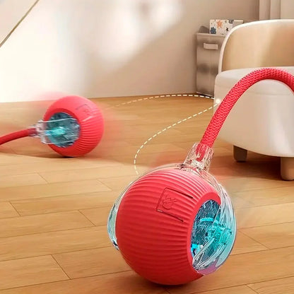 Pelota Interactiva Para Mascotas